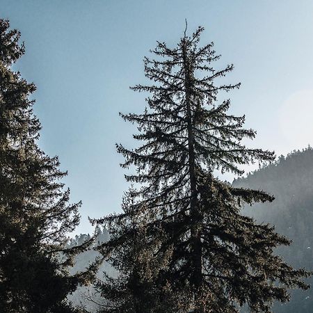 Roombox Likani Borjomi ภายนอก รูปภาพ