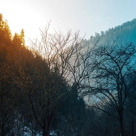 Roombox Likani Borjomi ภายนอก รูปภาพ