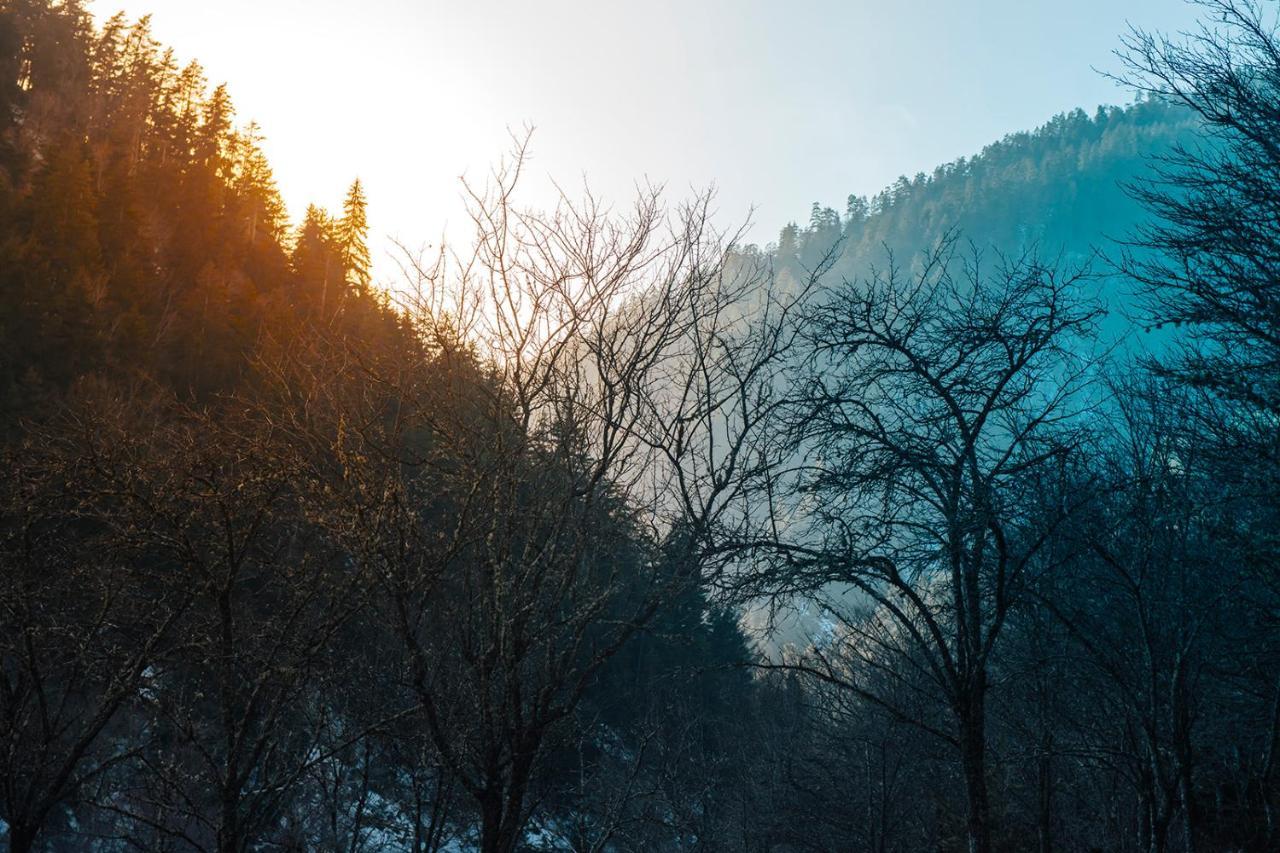 Roombox Likani Borjomi ภายนอก รูปภาพ