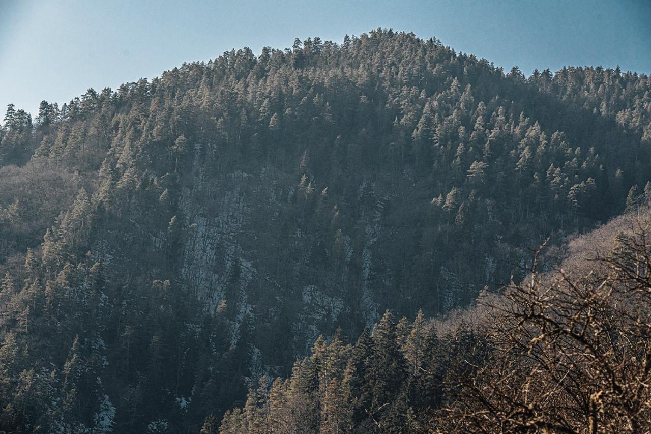 Roombox Likani Borjomi ภายนอก รูปภาพ